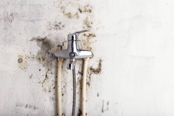 Best Residential Mold Removal  in Howards Grove, WI